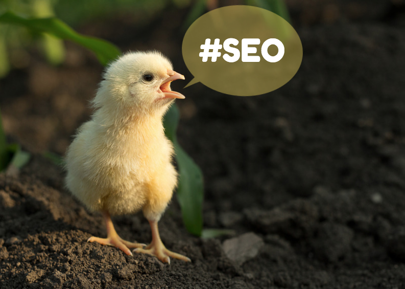 50 Tweetable Tips for Understanding SEO