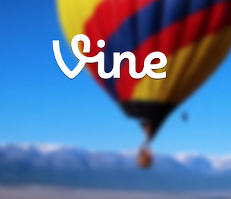 Vine