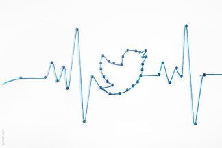sumall_twitter_pulse_followers_fans_growth