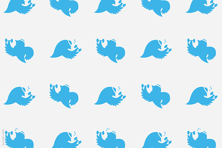 sumall_pattern_twitter_birds_workout_optimize