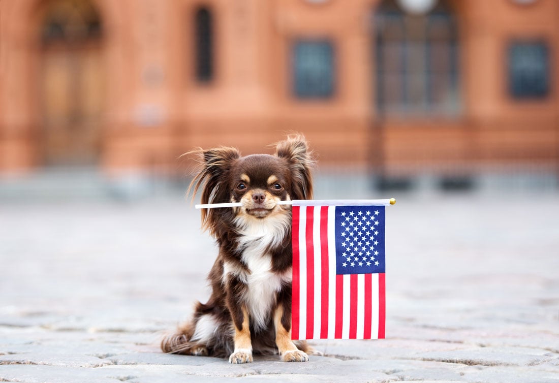 4th of July Emails: 13 That Prove Holiday Marketing Doesn't Have to Be Hard