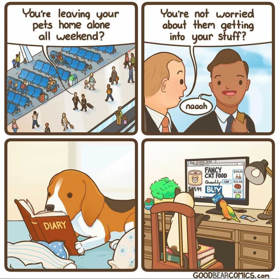 Image from iOS (1)-Aug-05-2021-02-53-12-32-AM