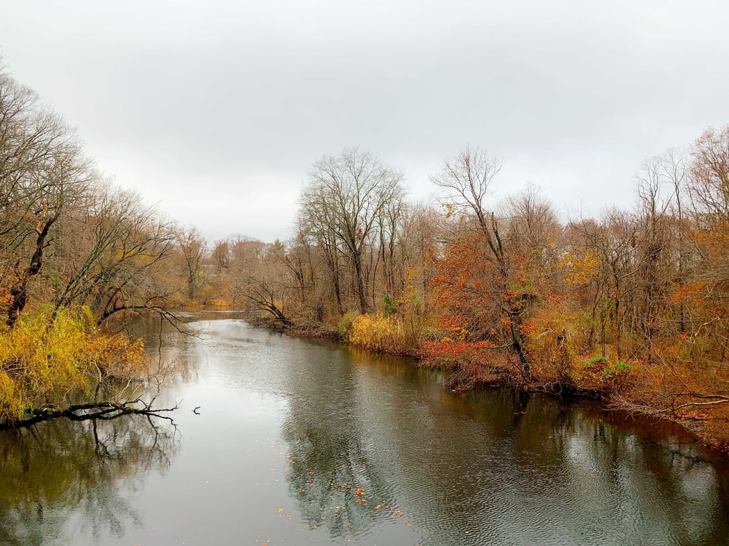 Image from iOS (4)-Nov-26-2020-08-50-48-70-PM