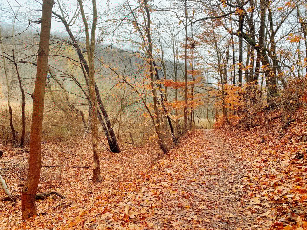 Image from iOS (5)-Nov-26-2020-08-50-49-89-PM