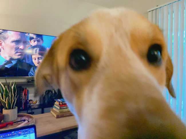 Image from iOS-May-07-2021-09-03-08-38-PM