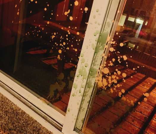 Image from iOS-Nov-11-2020-12-58-34-97-AM