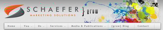 Mark Schaefer Header