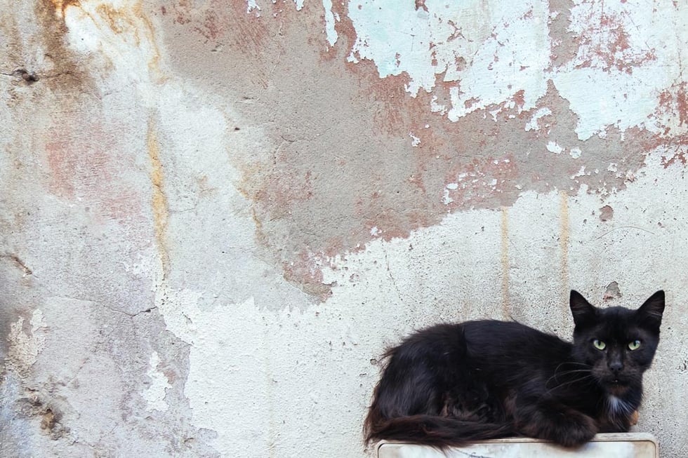 13 International Superstitions That Your Business Should Know
