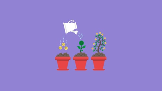 The 6 Disciplines of Hypergrowth for Any Budding Business [Infographic]