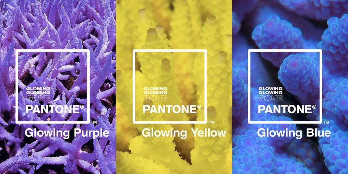 Marketing Lessons from Pantone's "Glowing, Glowing, Gone" Campaign