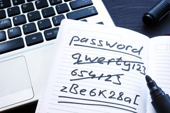 The Future of Internet Passwords & What "WebAuthn" Means For Businesses