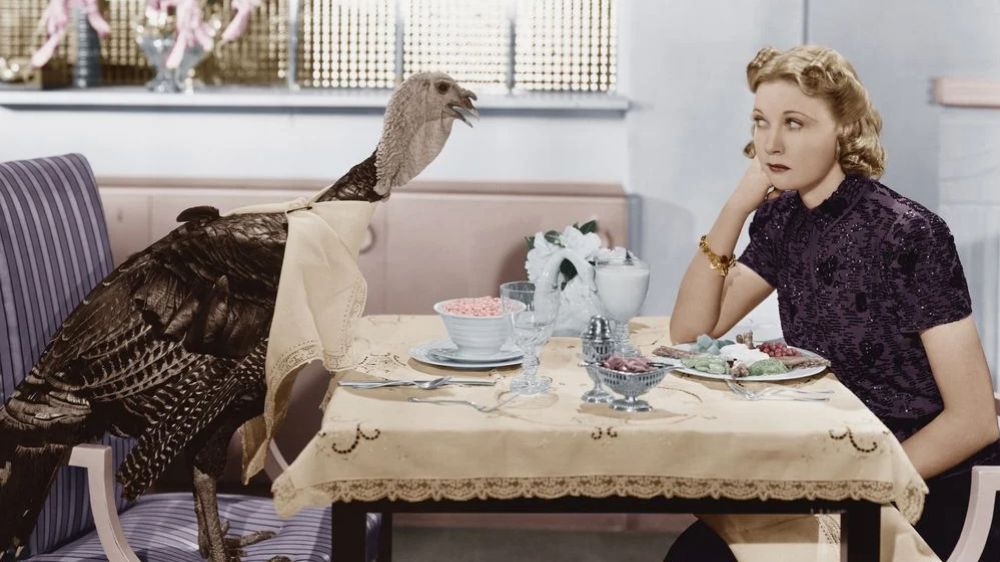 weirdest-thanksgiving-stock-photos-1-1