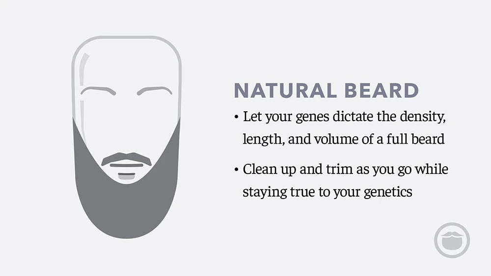 shopify-website-examples