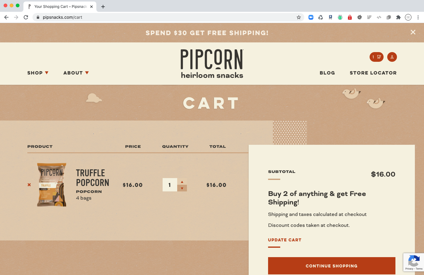 shopify-website-examples