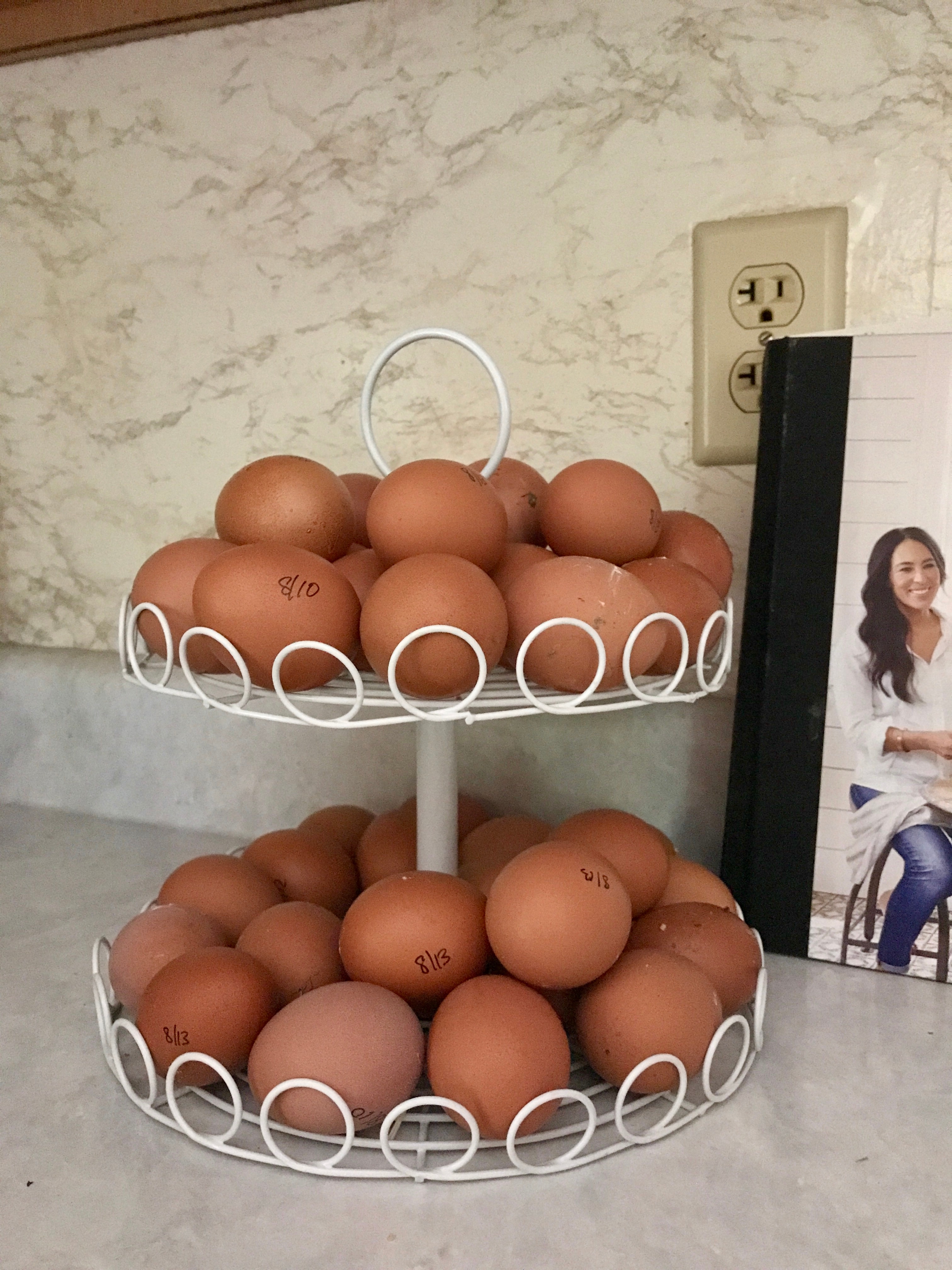 Britt Schwartz Chicken Eggs
