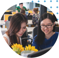 DSMM Services-min.png?nocache=1