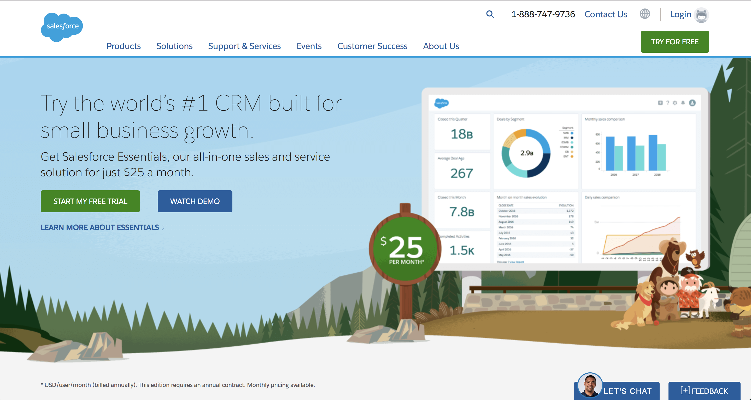 SalesForce Homepage