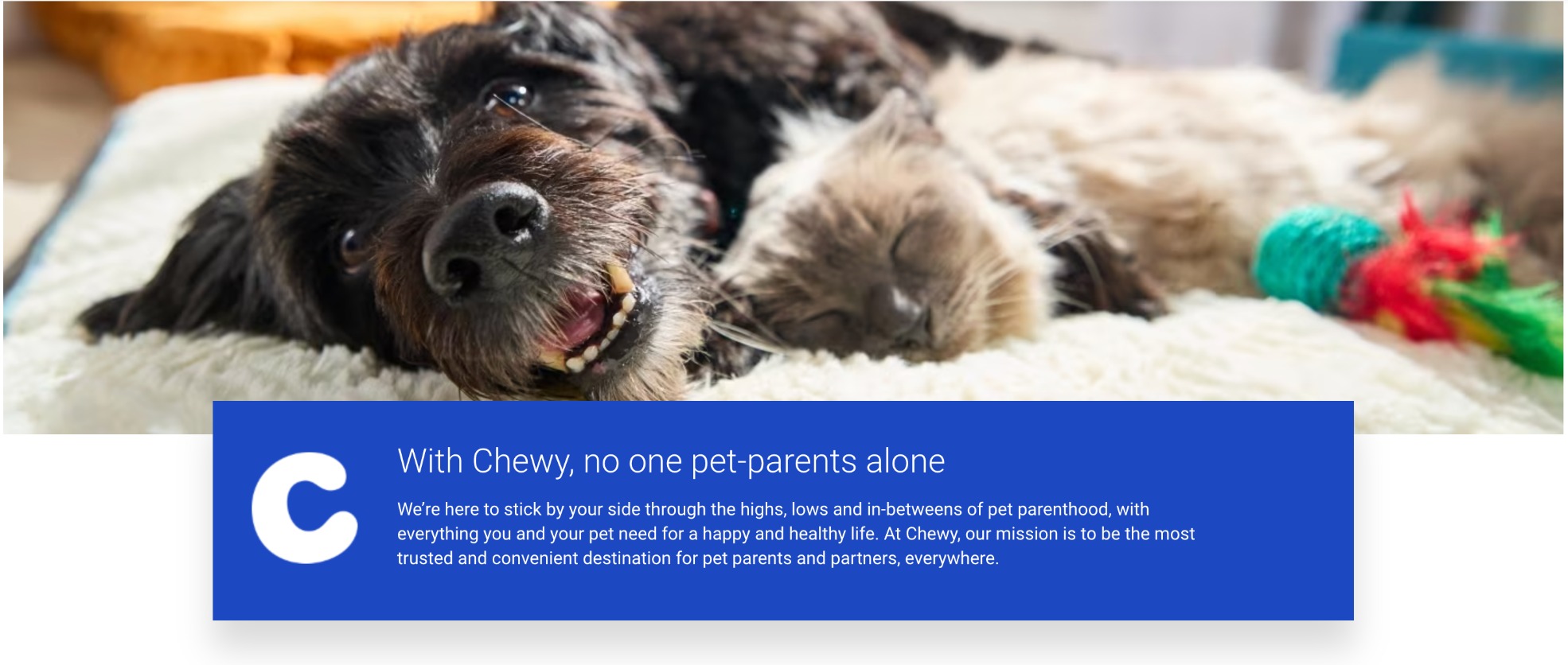 chewy-about-us