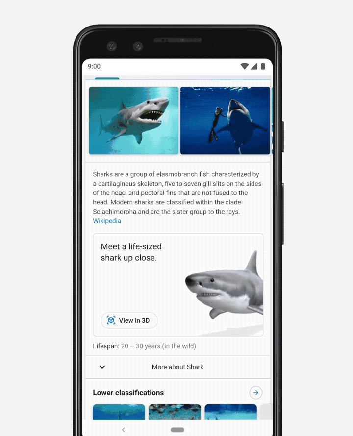 google-search-3d-ar