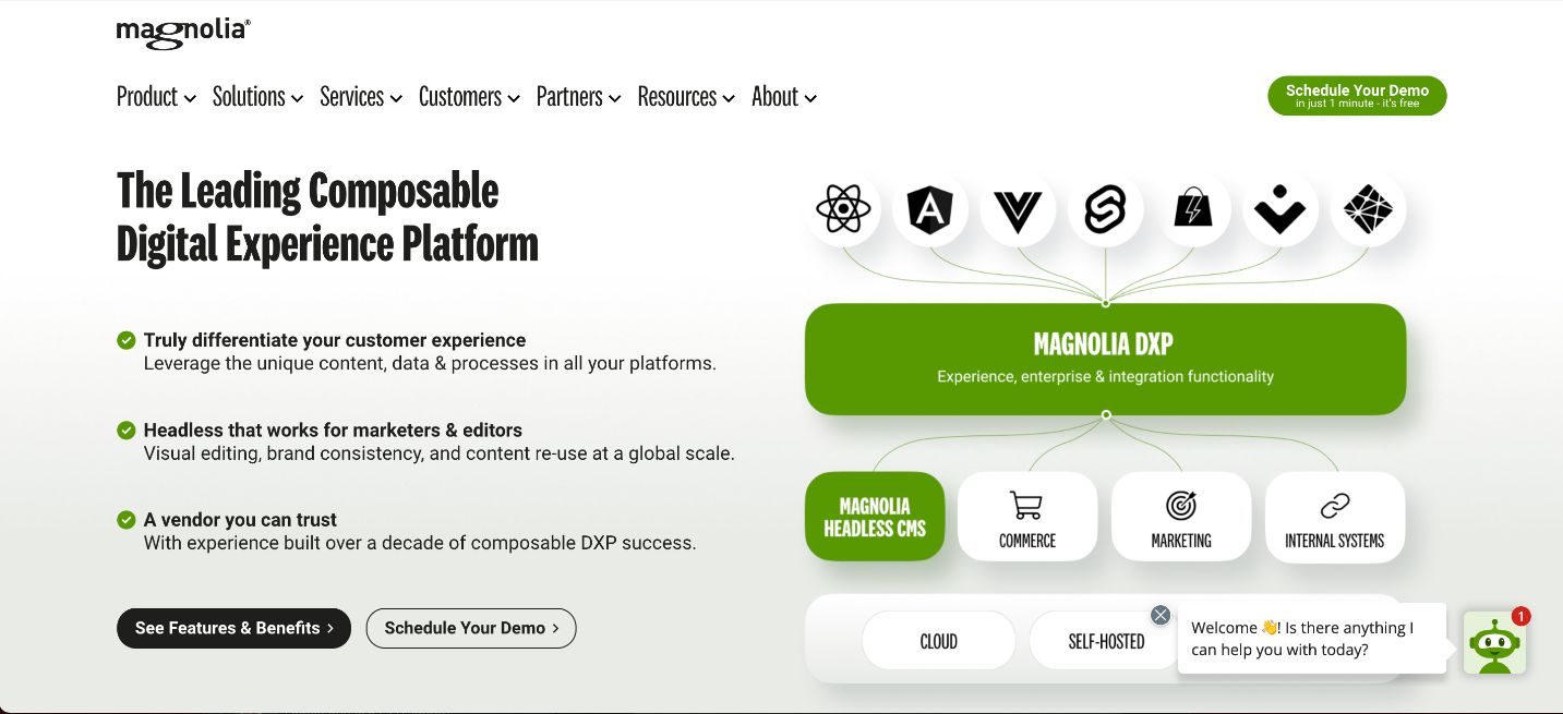 best-content-management-system-magnolia