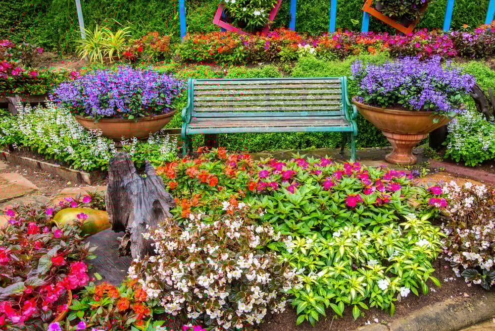 garden-1