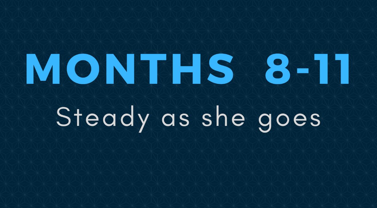 months-8-11-steady-as-she-goes