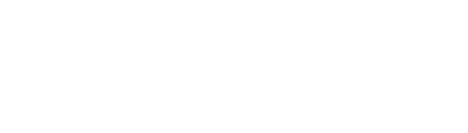Premier Home Team